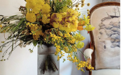 Une hirondelle a fait le printemps 💐